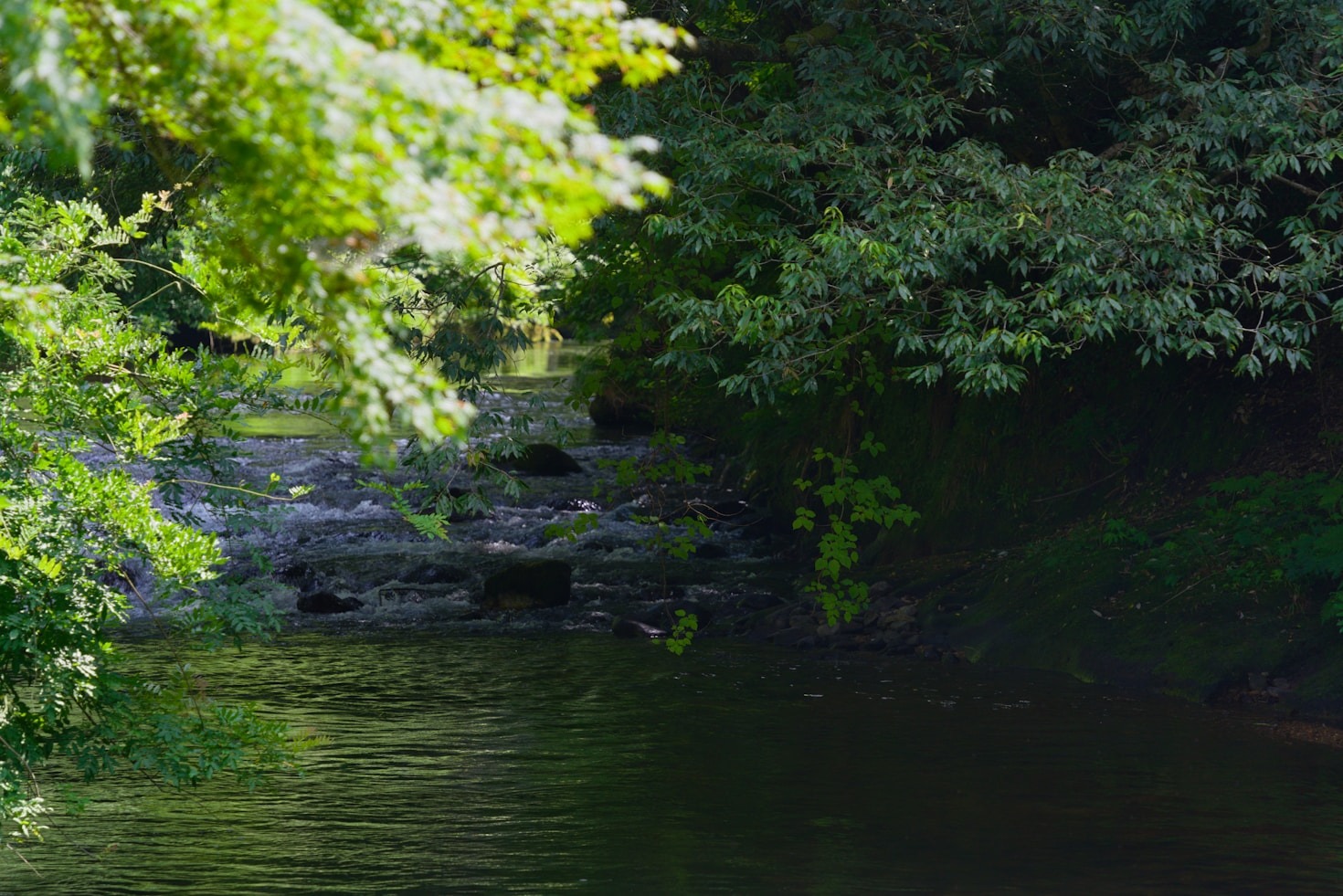 Exploring Depth in Personal Emotional Growth